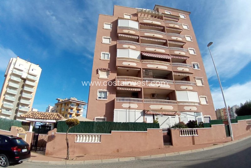 Apartament - Rynek wtórny - Guardamar del Segura - Guardamar del Segura
