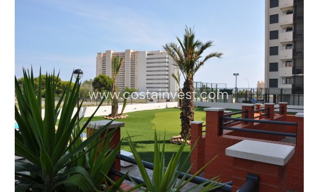 Rynek pierwotny - Penthouse - Alicante