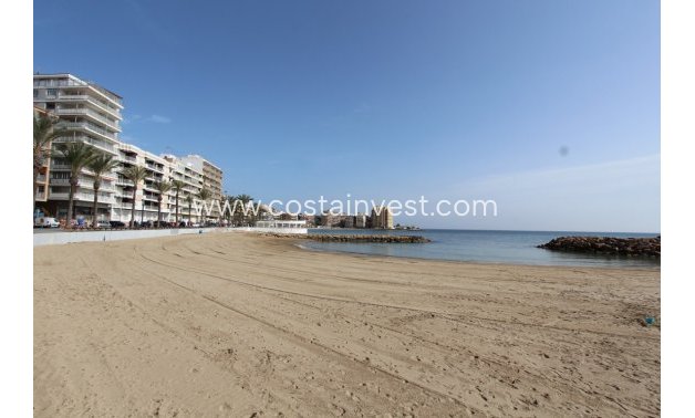 Wynajem - Apartament - Torrevieja - Playa del Cura