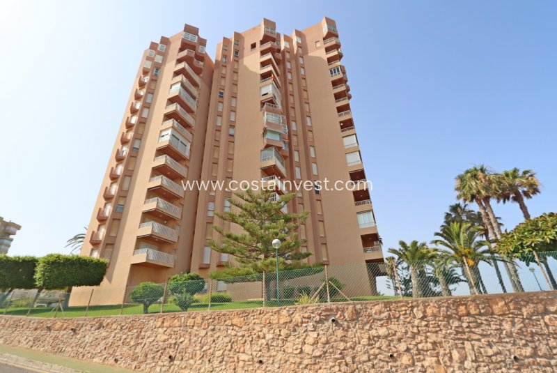 Apartament - Rynek wtórny - Orihuela Costa - Dehesa de Campoamor