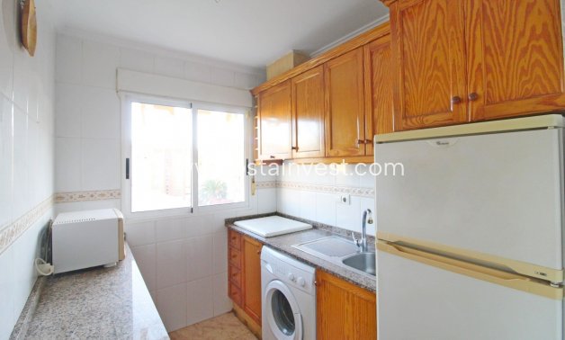 Rental - Apartment - Torrevieja - Downtown