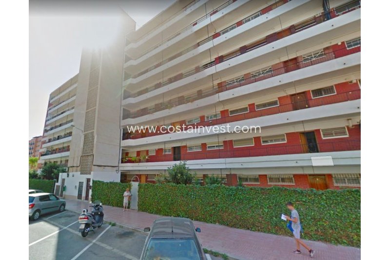 Apartament - Rynek wtórny - Alicante - San Vicente del Raspeig