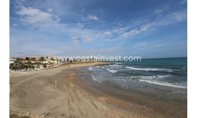 Wynajem - Lokal - Orihuela Costa - Playa Flamenca