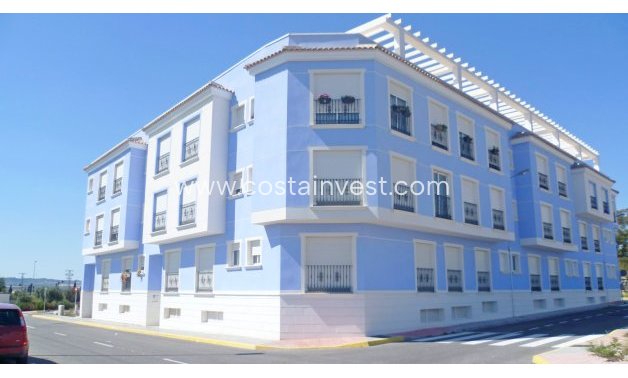 Rynek pierwotny - Apartament - Los Montesinos
